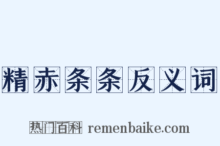 精赤条条反义词是什么意思的图片